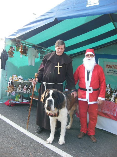 MARCHE DE NOEL 2010 A EGLY