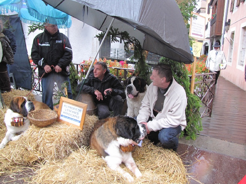 ANNECY 2009