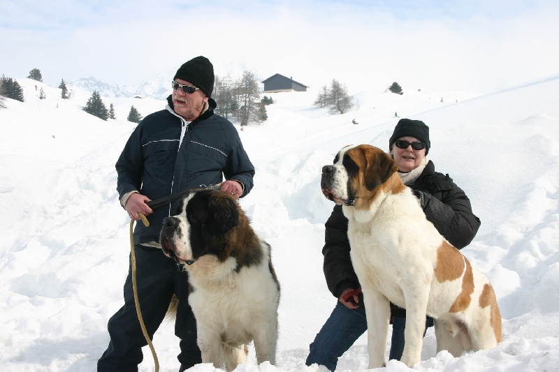 SOUVENIR DE LA PLAGNE 2009